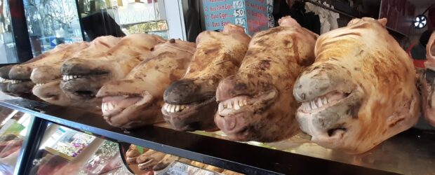 Diyarbakır’ın Salhane Pazarı’nda Milyonluk Vurgun İddiası