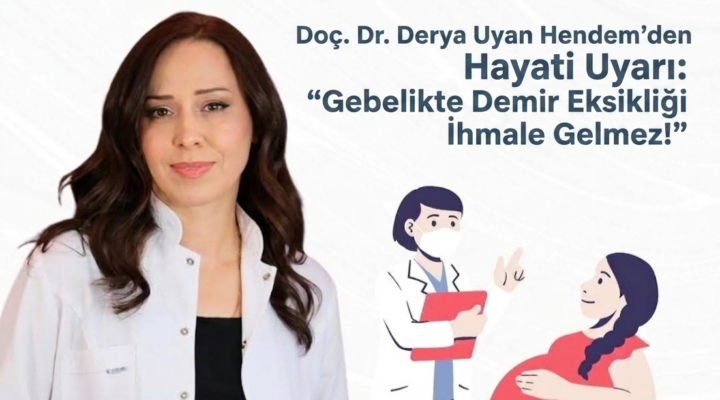 Bebek Sağlığında Demir Eksikliği Tehlikesi: Doç. Dr. Derya Uyan Hendem Erken Doğum Riskine Dikkat Çekti