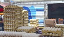 Yumurta Fiyatları Cep Yakıyor