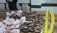 Bağlar Belediyesi’nden Gıda Denetimi: Halk Sağlığı İçin Harekete Geçildi