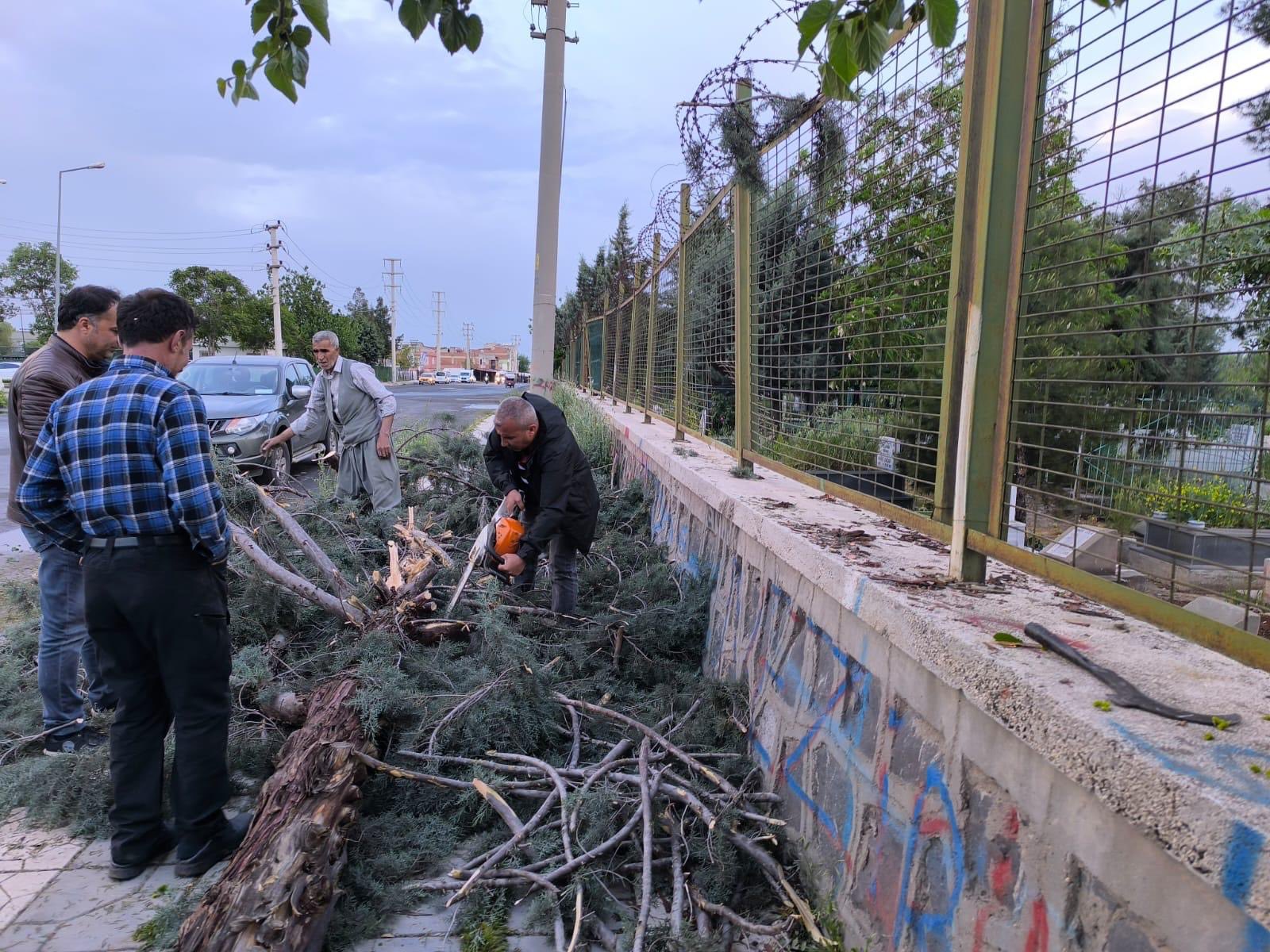 Diyarbakır’da Kuvvetli Rüzgara Bağlar Belediyesi’nden Hızlı Müdahale