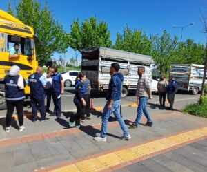 Bayram öncesi hayvan nakilleri kontrol ediliyor