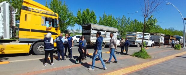 Bayram öncesi hayvan nakilleri kontrol ediliyor