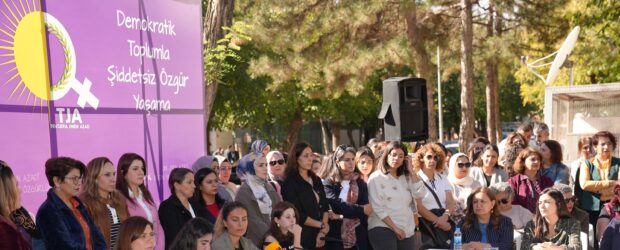 Eşbaşkan Bucak, 25 Kasım açıklamasına katıldı