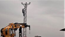 Kışın ortasında kaçak elektrikle buğday tarlası suladılar
