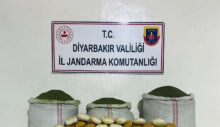 Diyarbakır’da narkotik operasyonu: 177 kilo esrar ele geçirildi