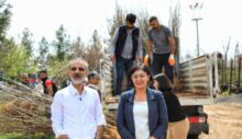 Kayapınar Belediyesi’nden meyve bahçeleri projesi