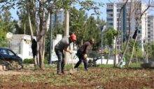 Kayapınar Belediyesi parkları yaza hazır hale getiriyor