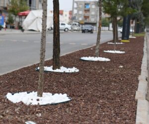Bismil Belediyesi’nden Refüj Yenileme Çalışması
