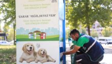 Kayapınar Belediyesi Sokak hayvanlarına hizmeti aksatmadı