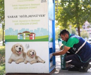 Kayapınar Belediyesi Sokak hayvanlarına hizmeti aksatmadı
