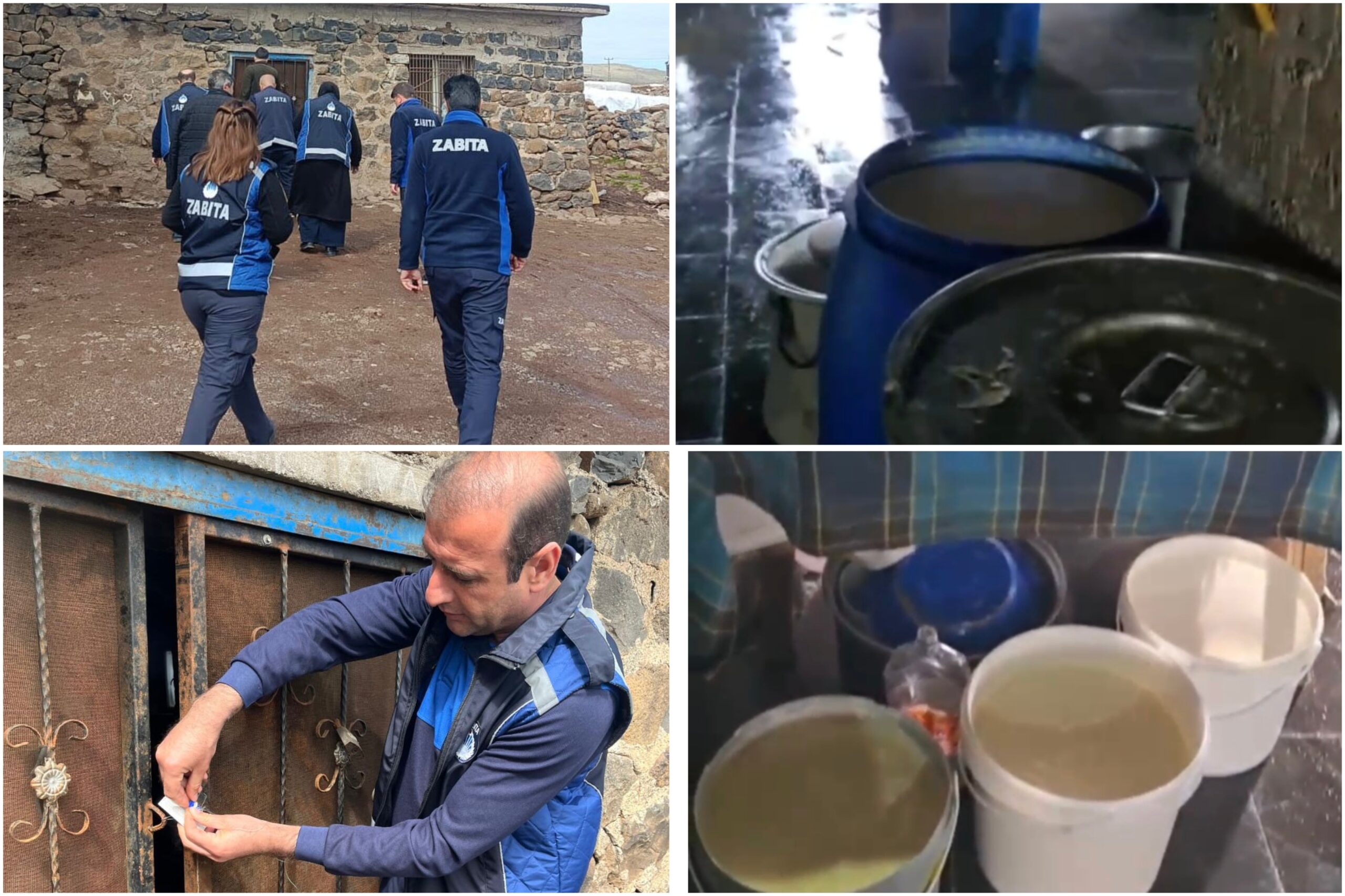 Halk Sağlığını Tehdit Eden Kaçak Peynir İmalathanesi Mühürlendi 