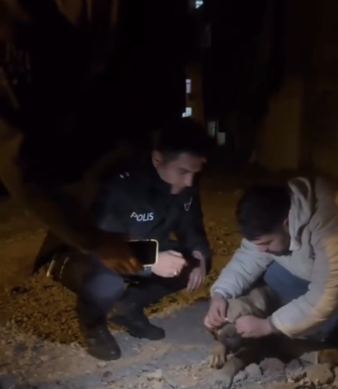 Diyarbakır’da Sokakta Ağzı İple Bağlı Köpek kurtarıldı 