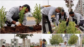Bağlar’da 930 Metrelik Refüjde Kapsamlı Peyzaj Çalışması