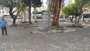 DBB, Samandağ’da dayanışma amacıyla park yapıyor