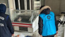 Denetimlerde son kullanma tarihi geçen 278 kg ete el konuldu