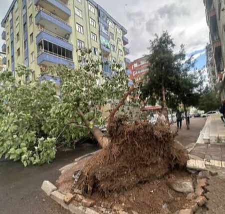 Diyarbakır’da Kuvvetli Rüzgar ve Fırtına Uyarısı